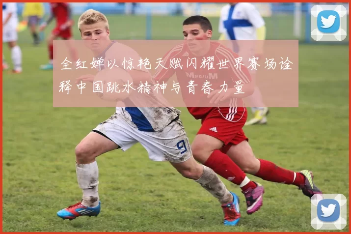 全红婵以惊艳天赋闪耀世界赛场诠释中国跳水精神与青春力量