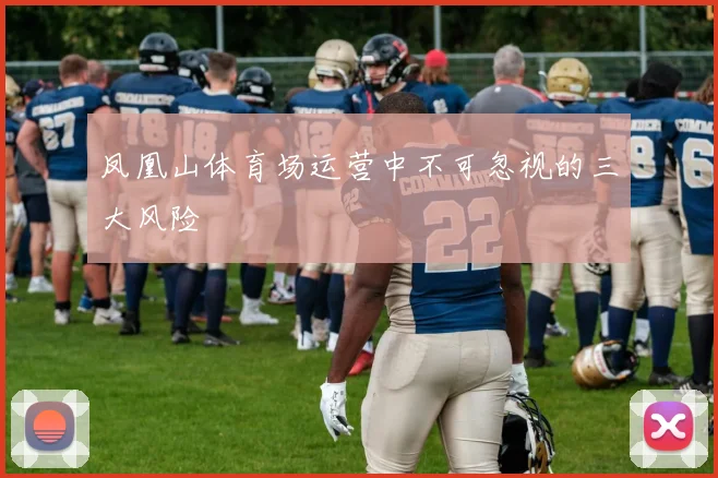 凤凰山体育场运营中不可忽视的三大风险