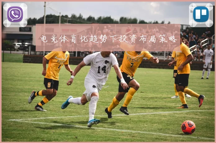 电竞体育化趋势下投资布局策略