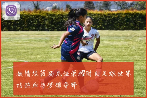 激情绿茵场见证荣耀时刻足球世界的热血与梦想争锋